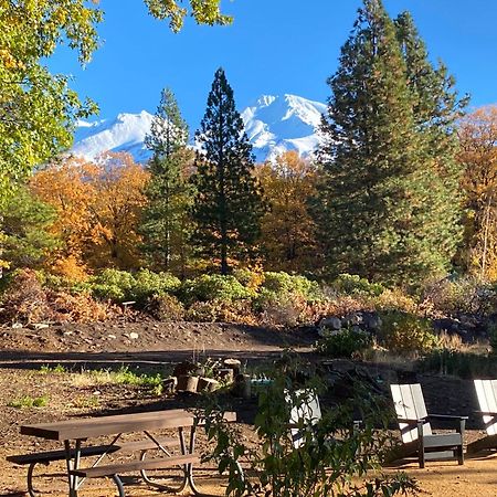 Basecamp Lodge Mount Shasta Dış mekan fotoğraf