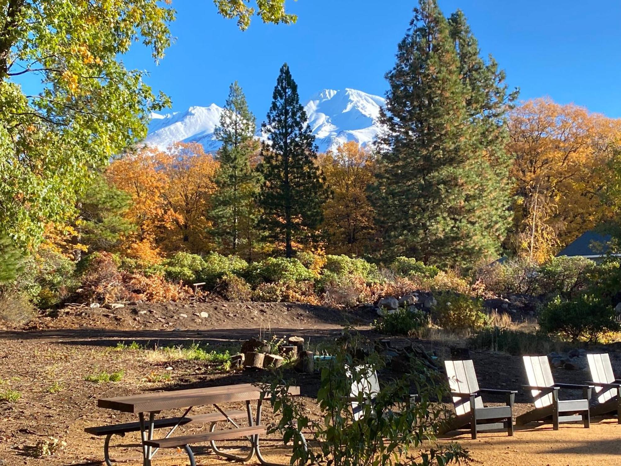 Basecamp Lodge Mount Shasta Dış mekan fotoğraf
